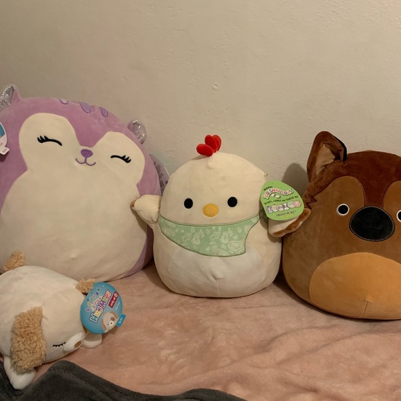 Squishmallows all new with tags on - Picture 3 of 4